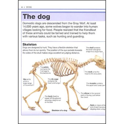 Pocket Genius Book: Dogs