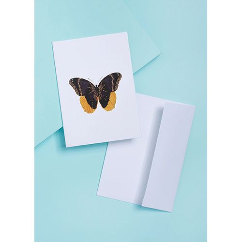 Card-Butterfly