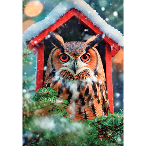 Classic Boxed Christmas Cards-C76394
