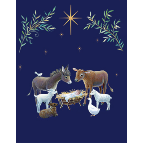 Notelet Boxed Christmas Cards-N93446