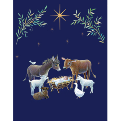 Notelet Boxed Christmas Cards-N93446