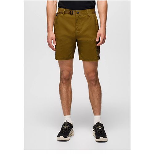 Stretch Zion Short II, 10 inch