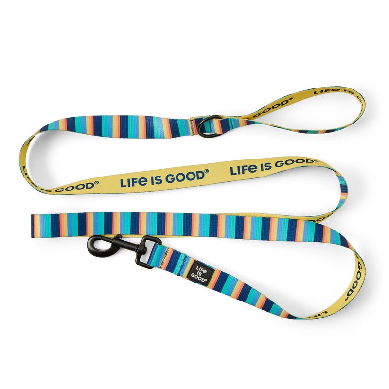 Life is Good Stripey Rocket Dog Leash