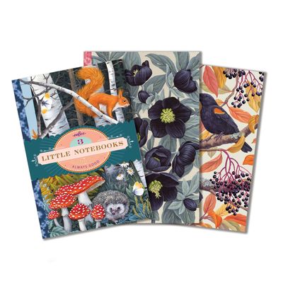 Three Little Notebooks - Vasilisa's