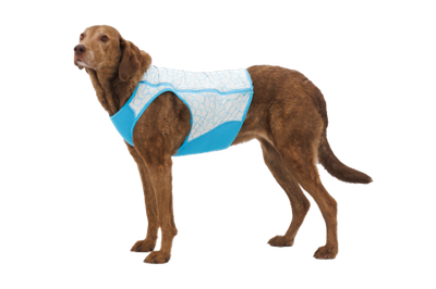 Ruffwear Swamp Cooler Zip™ Dog Vest