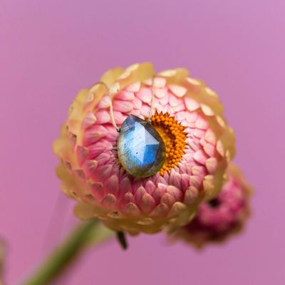 SoulKu Labradorite Luxe Necklace for Transformation