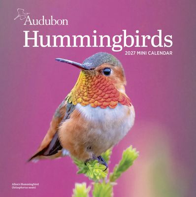 Workman Mini Wall Calendar - Hummingbirds