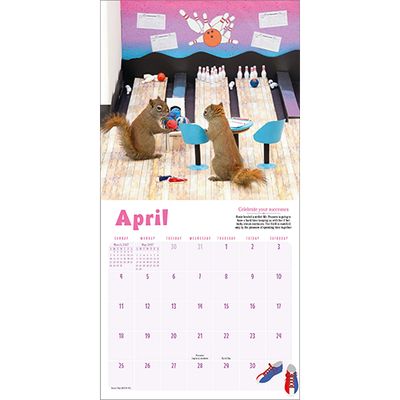 Workman Mini Wall Calendar - Secret Life of Squirrels