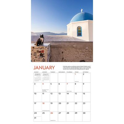 Workman Wall Calendar - Cats of the World