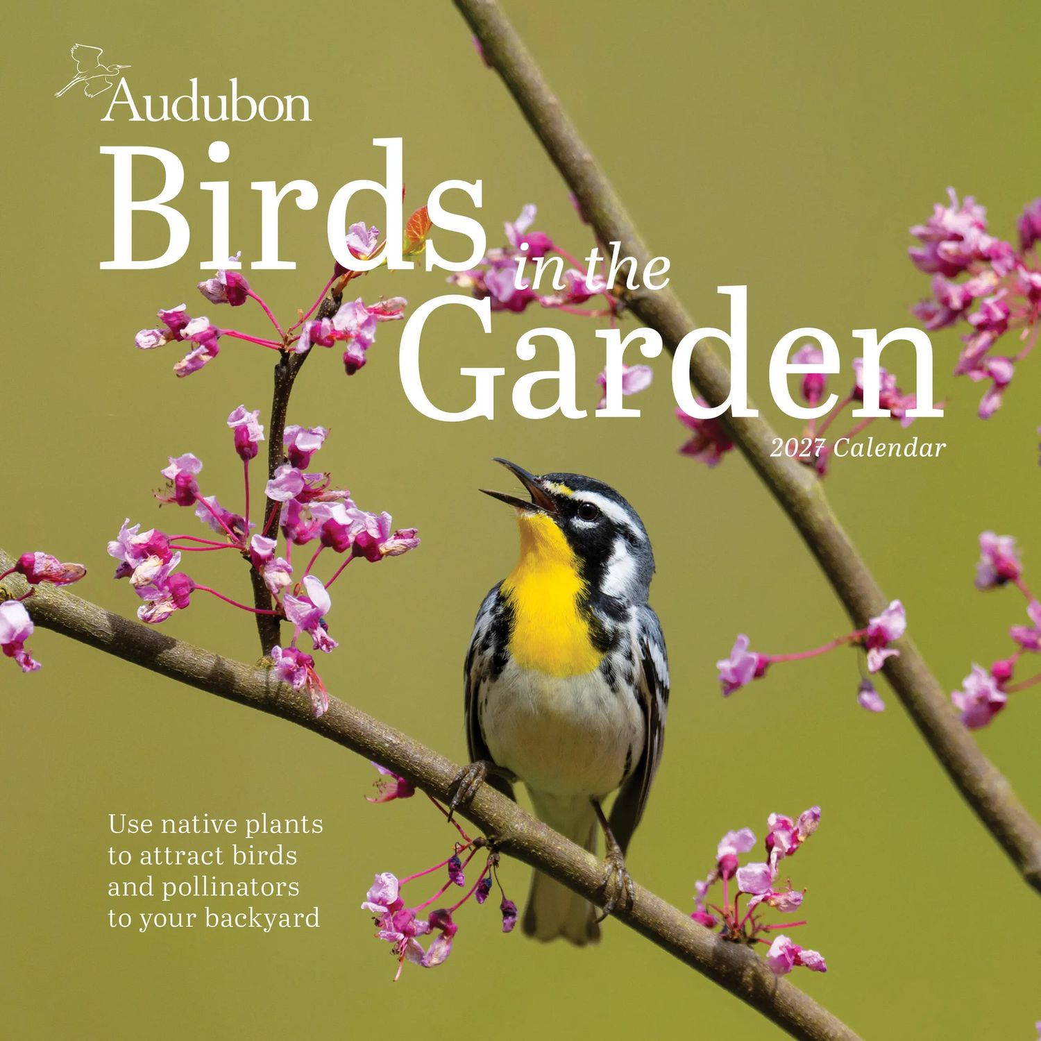 Workman Wall Calendar - Audubon Birds in the Garden