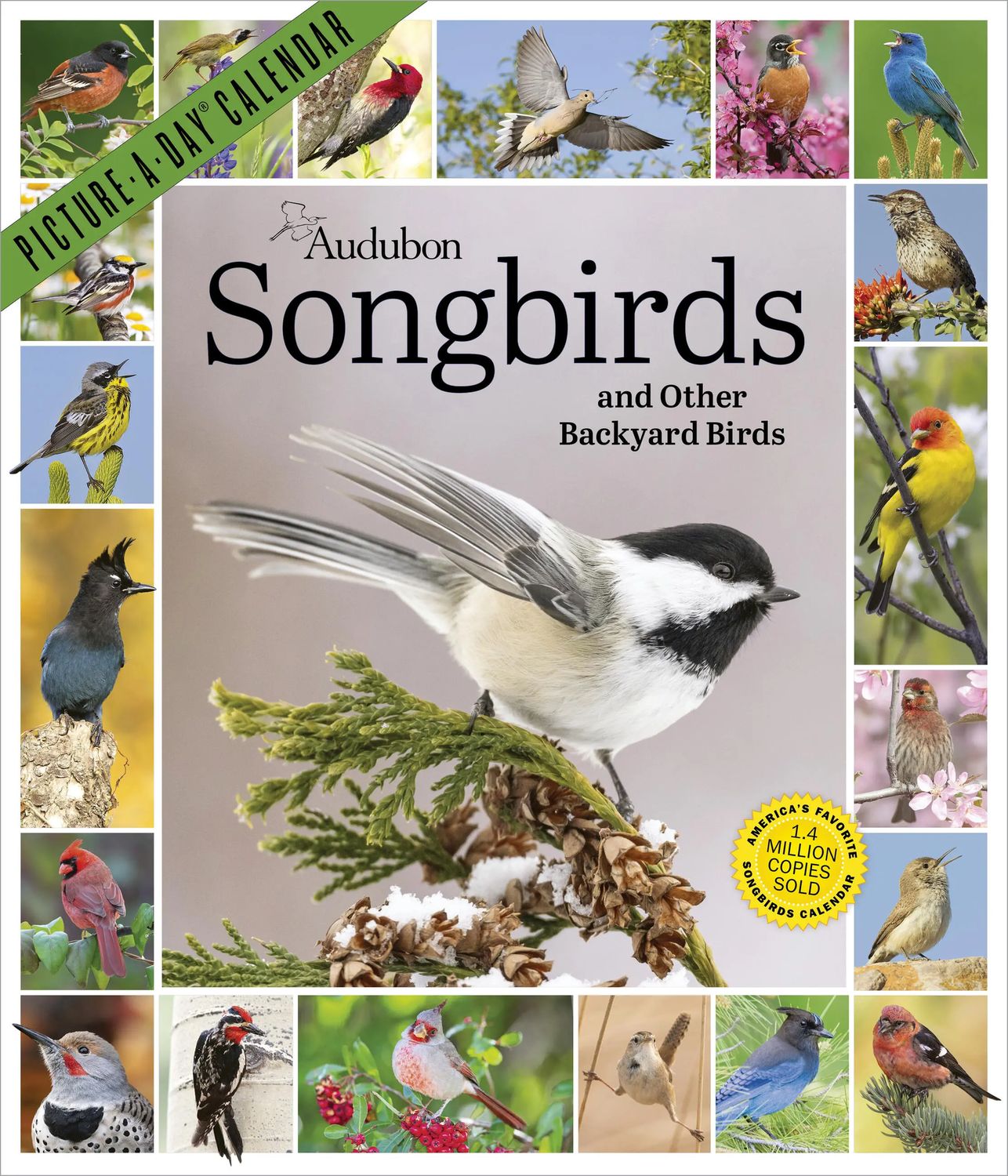 Workman Picture-A-Day Wall Calendar - Audubon Songbirds
