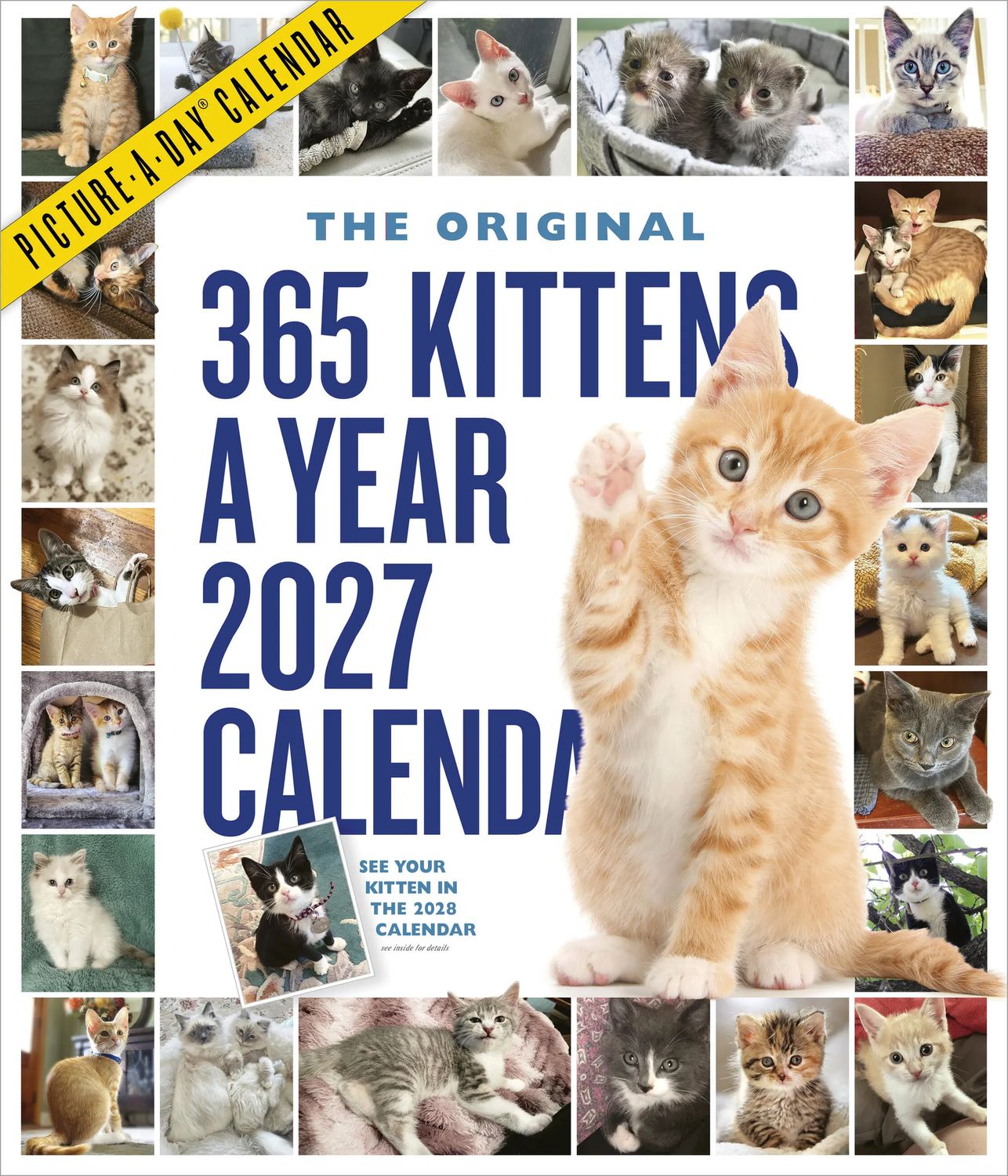 Workman Picture-A-Day Wall Calendar - 365 Kittens a Year