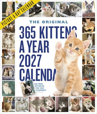 Workman Picture-A-Day Wall Calendar - 365 Kittens a Year