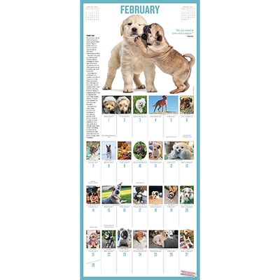 Workman Picture-A-Day Wall Calendar - 365 Puppies a Year