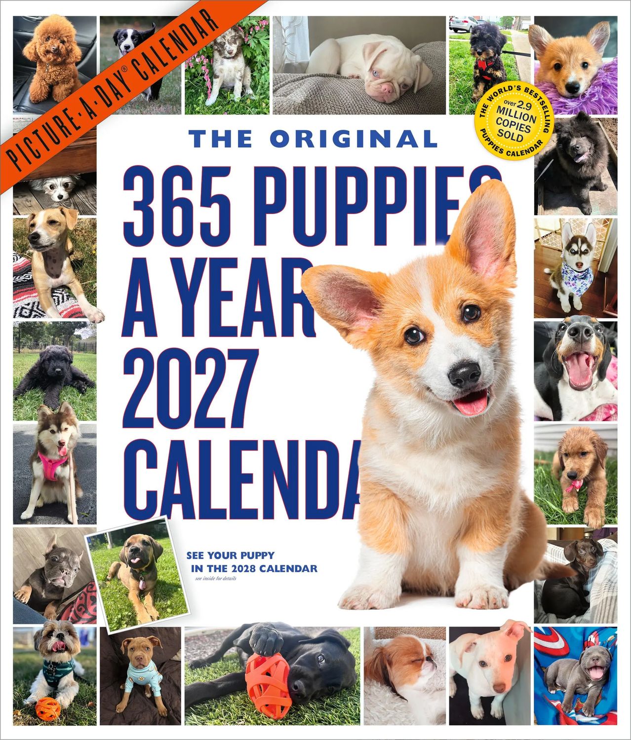 Workman Picture-A-Day Wall Calendar - 365 Puppies a Year