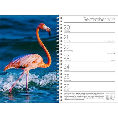 Workman Engagement Calendar - Audubon