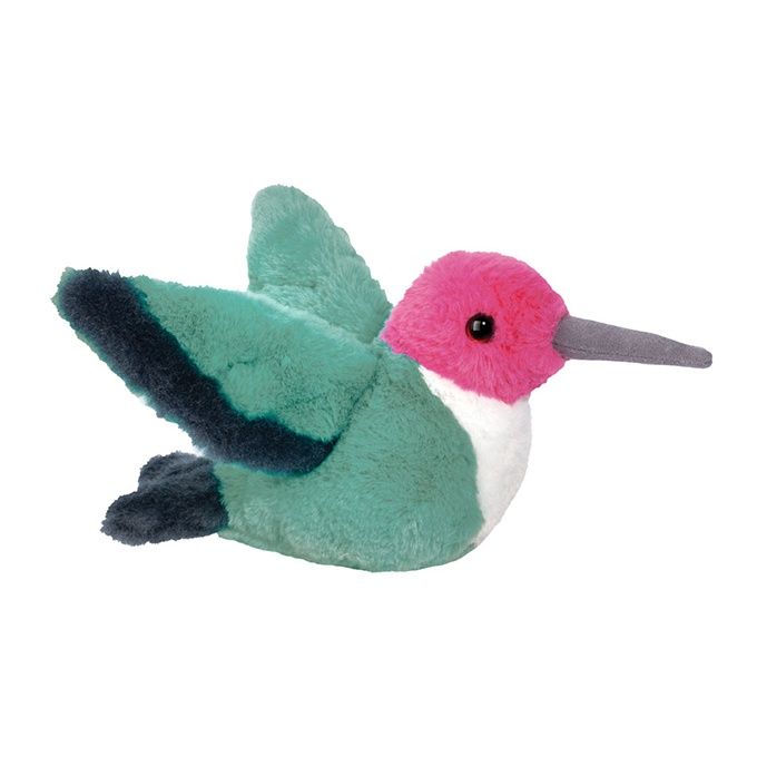 Douglas Twirlie Hummingbird