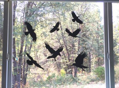 Window Gems Matte Black Window Cling - Raven