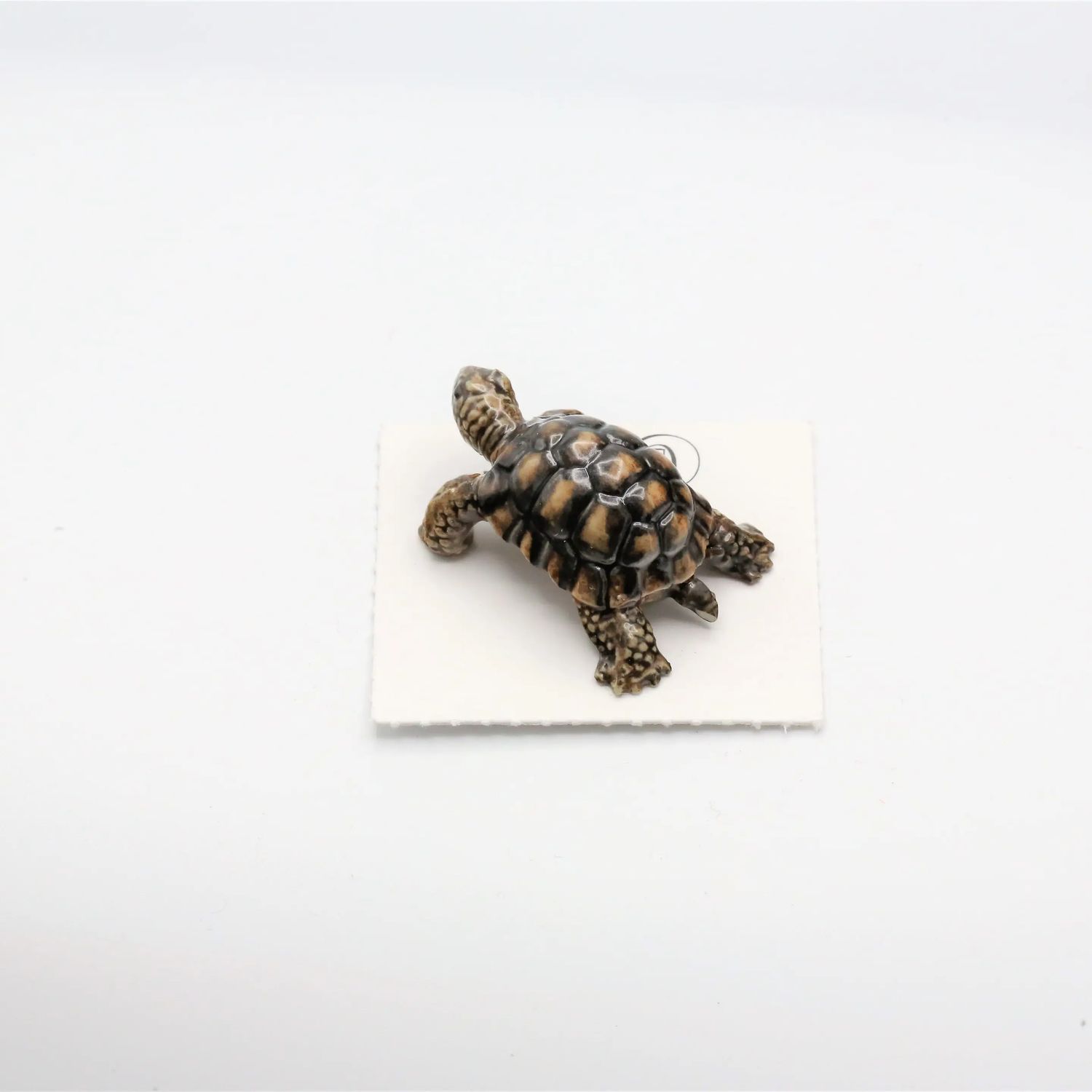 Little Critterz Porcelain Miniature - Joshua Desert Tortoise