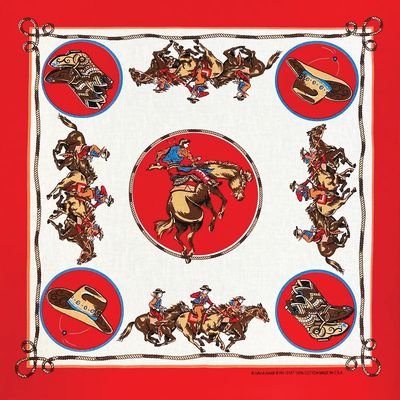 The Bandanna Company Bandanna -  22"