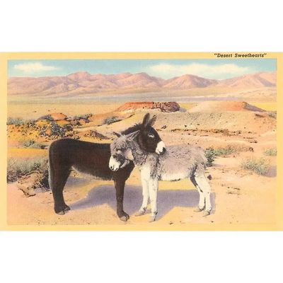 Found Image Press Magnet