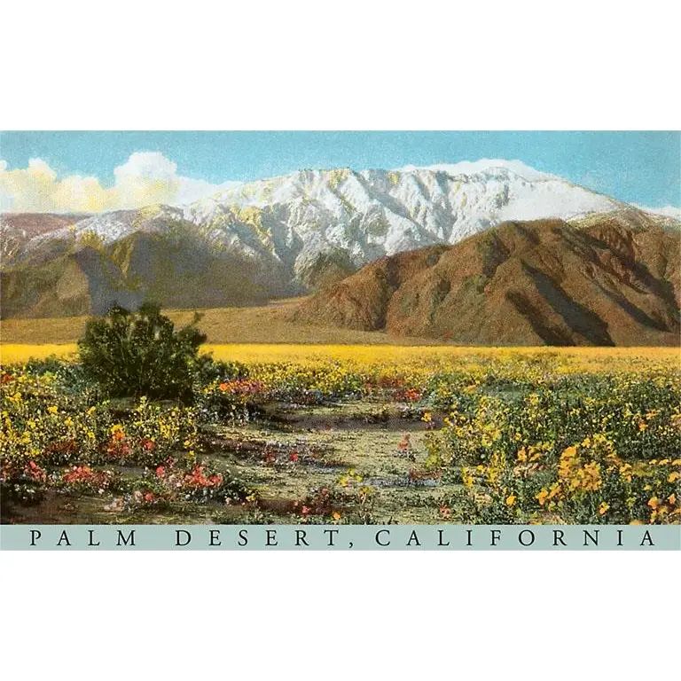 Found Image Press Magnet, Image: Palm Desert Scene