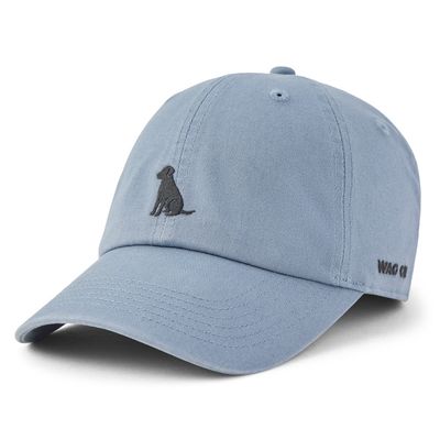 Life is Good Adult Unisex Wag On Dog Chill Cap
