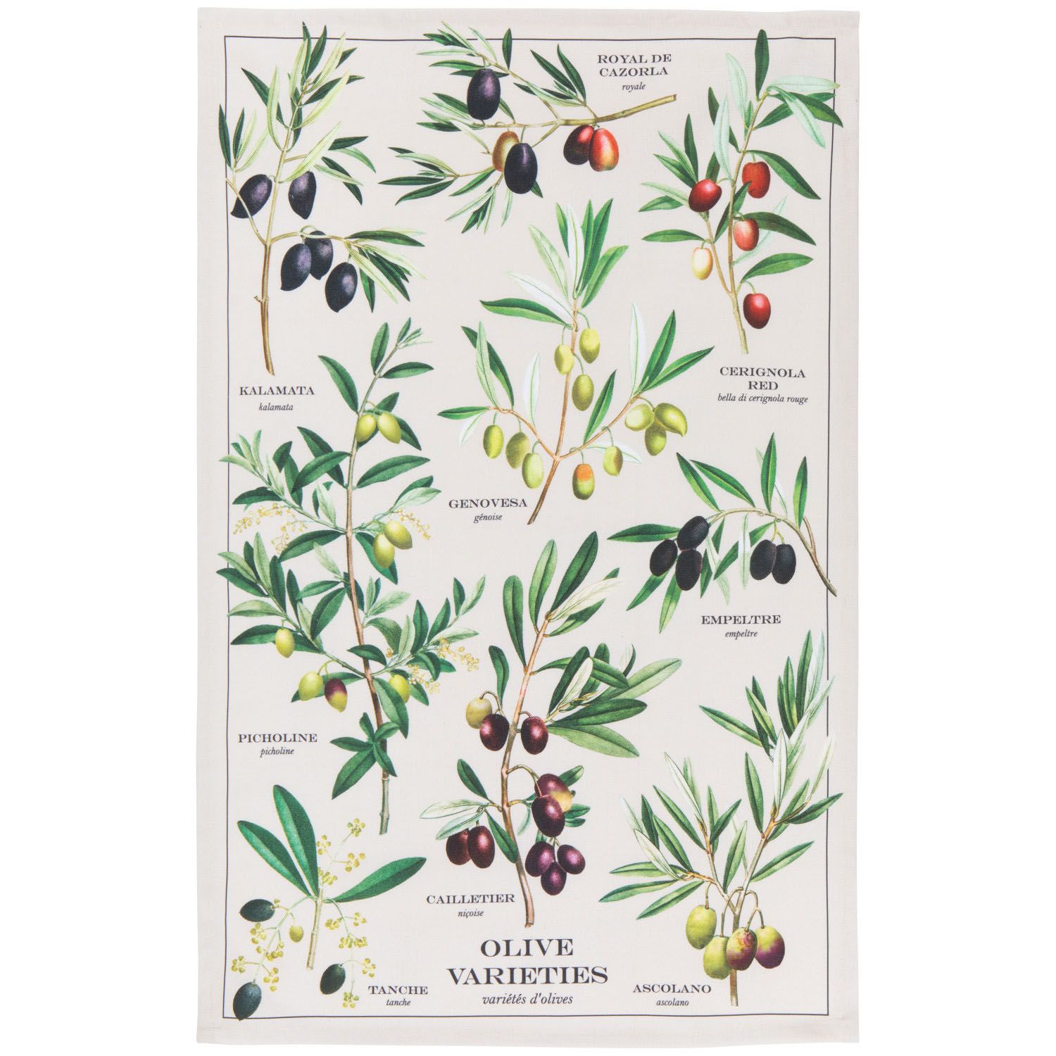 Dishtowel Fine Print - Olives