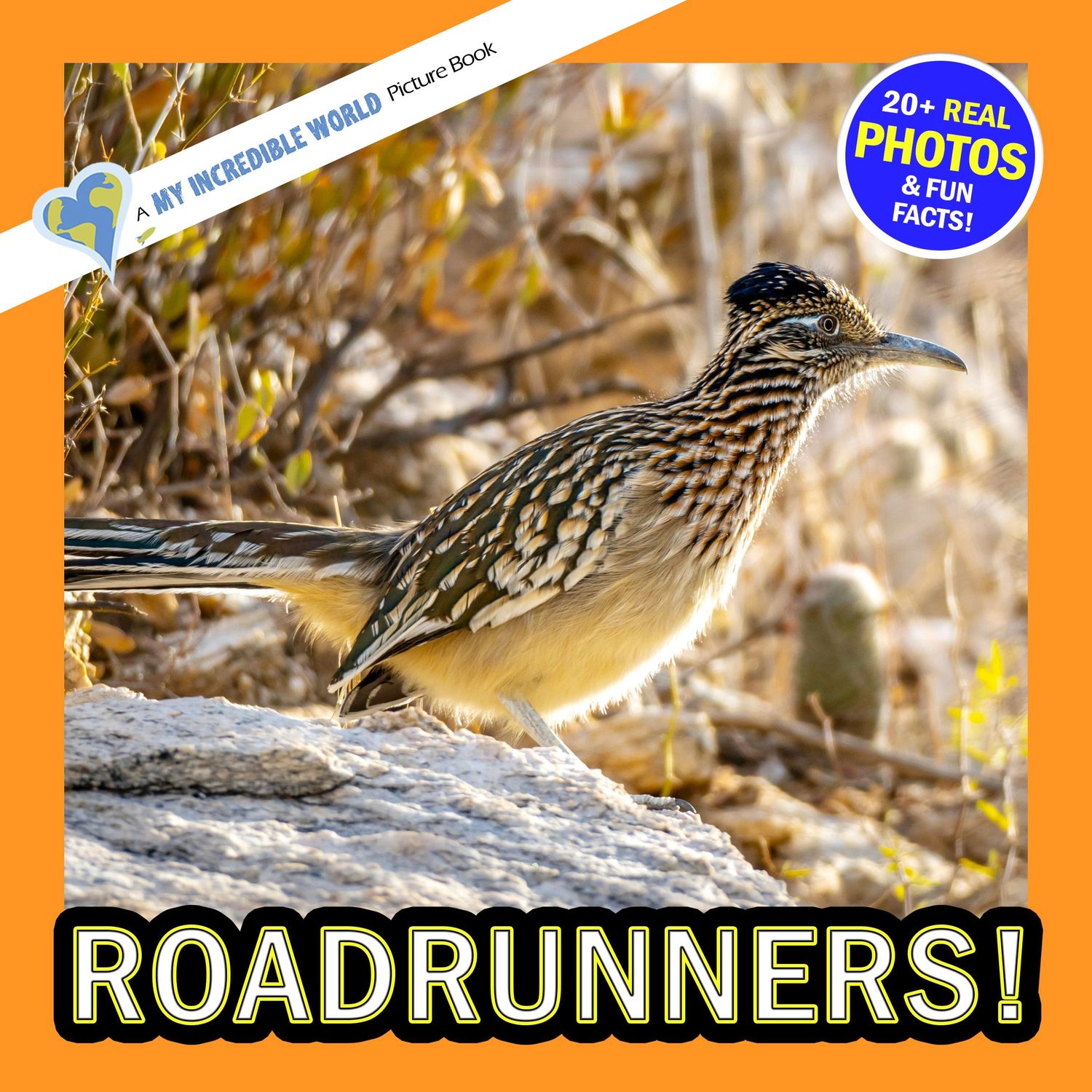 Roadrunners!
