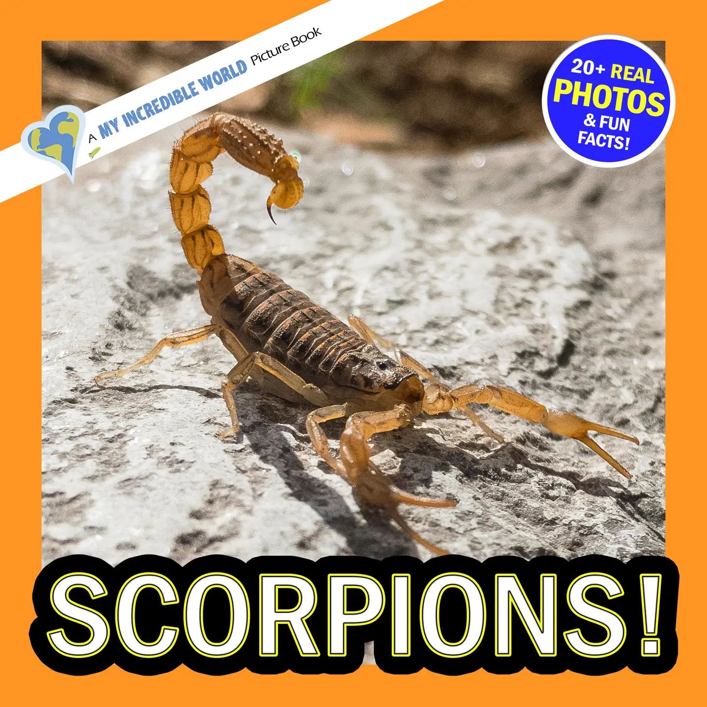 Scorpions!
