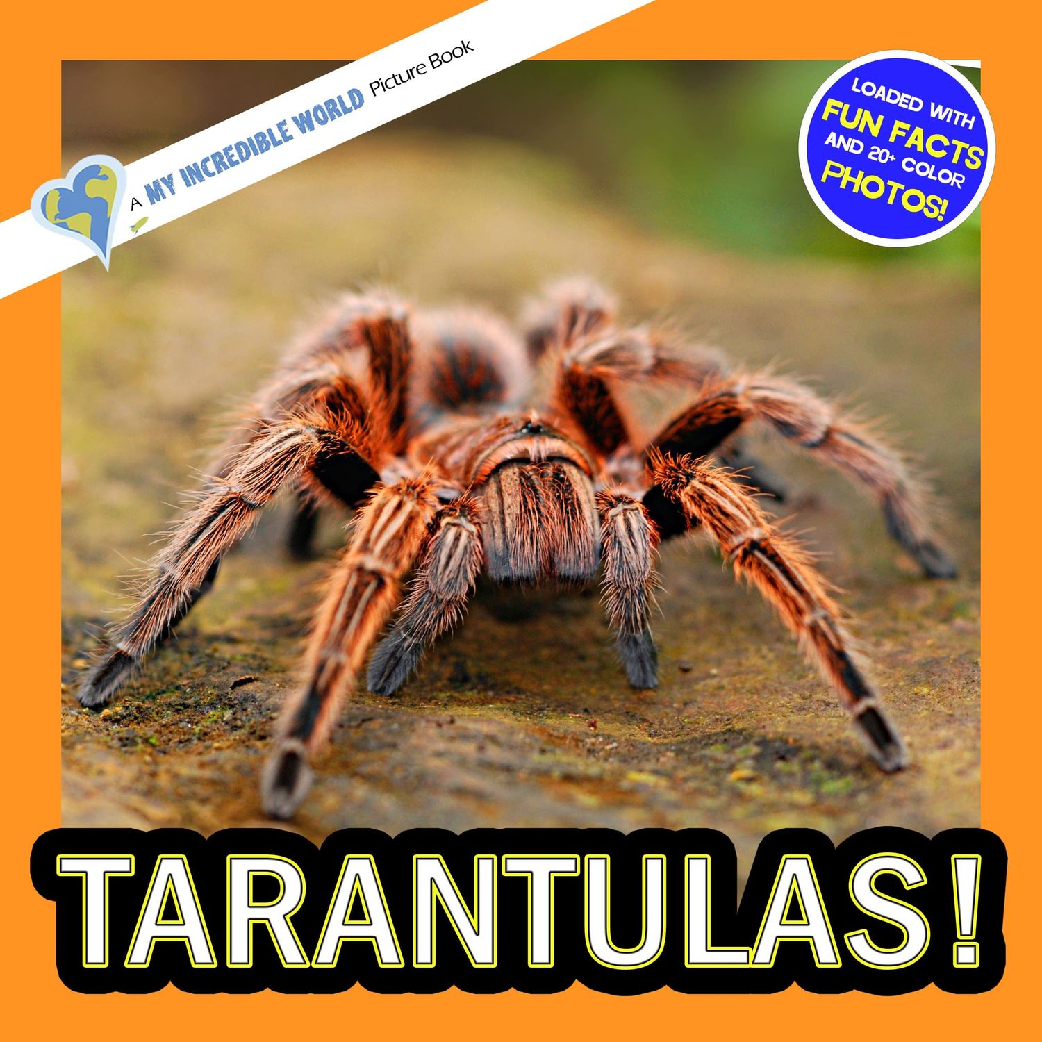 Tarantulas!