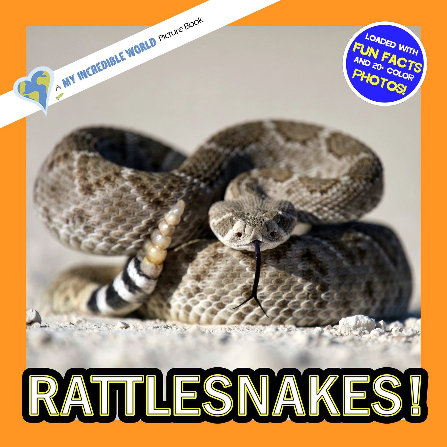 Rattlesnakes!