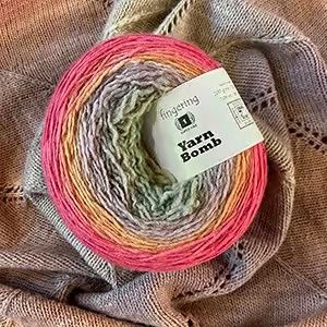 Ombre Merino Fingering Yarn Bomb