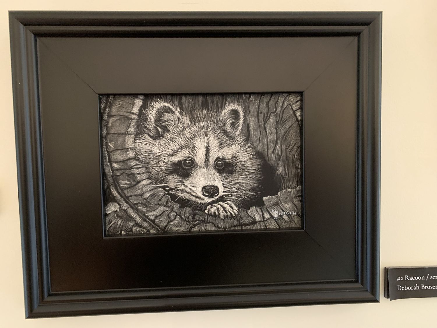 Racoon scratchboard
