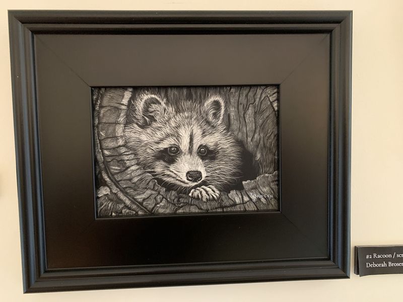 Racoon scratchboard