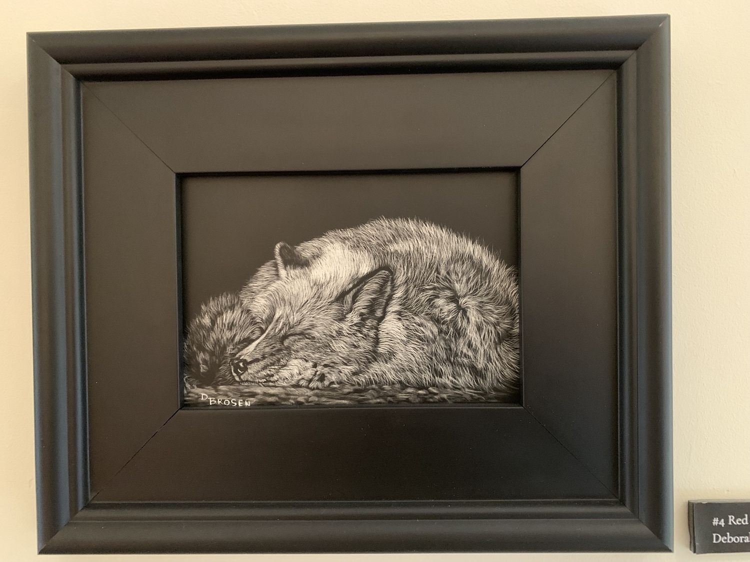 Red fox scratchboard