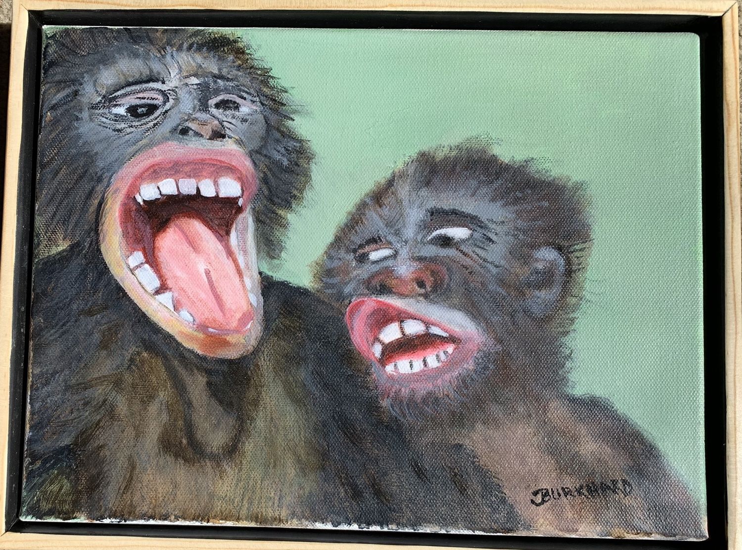 Bonobos Chatting