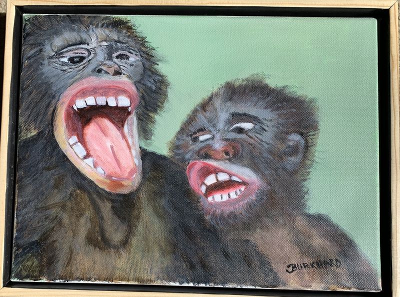 Bonobos Chatting