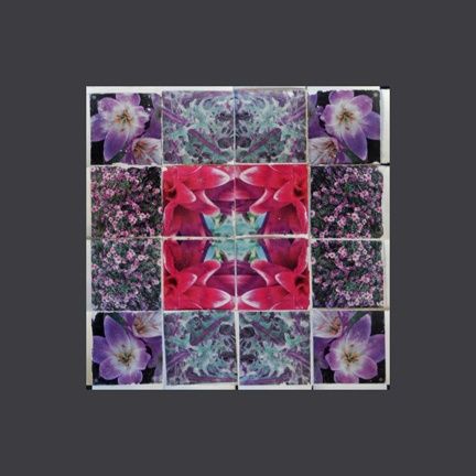 DF Frida Kahlo goes to the Bridge of Flowers