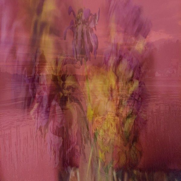 Dec 30 Bull Hill Road and Zinnias 10&quot; x 10&quot; ltd ed 1/25