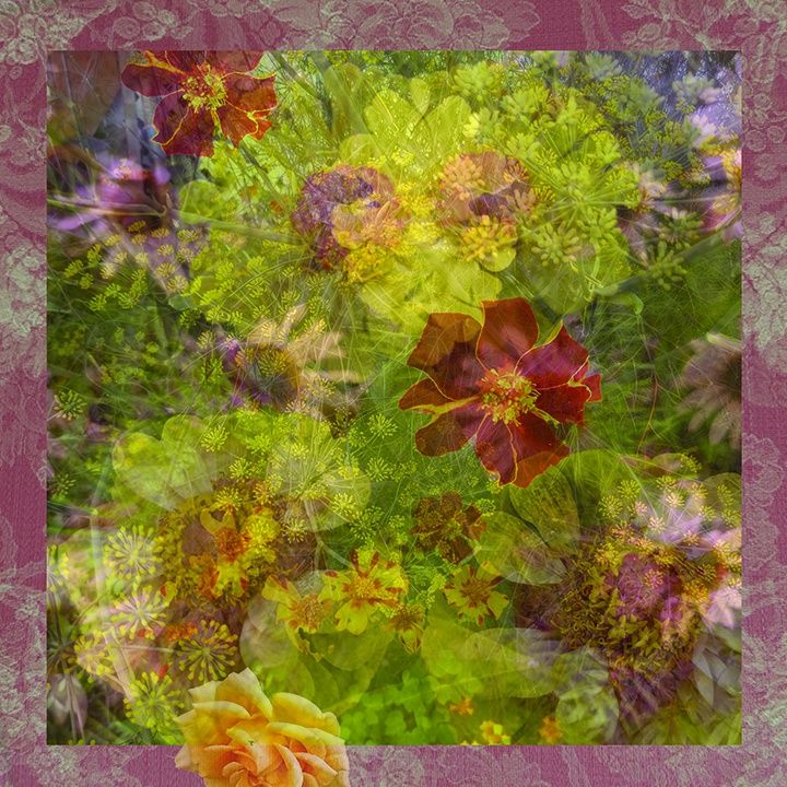 Jen&#39;s Garden 10&quot; x 10&quot; ltd ed 3/25