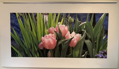 Tulips and Moon, ltd edition print 1/10, 16″X24″