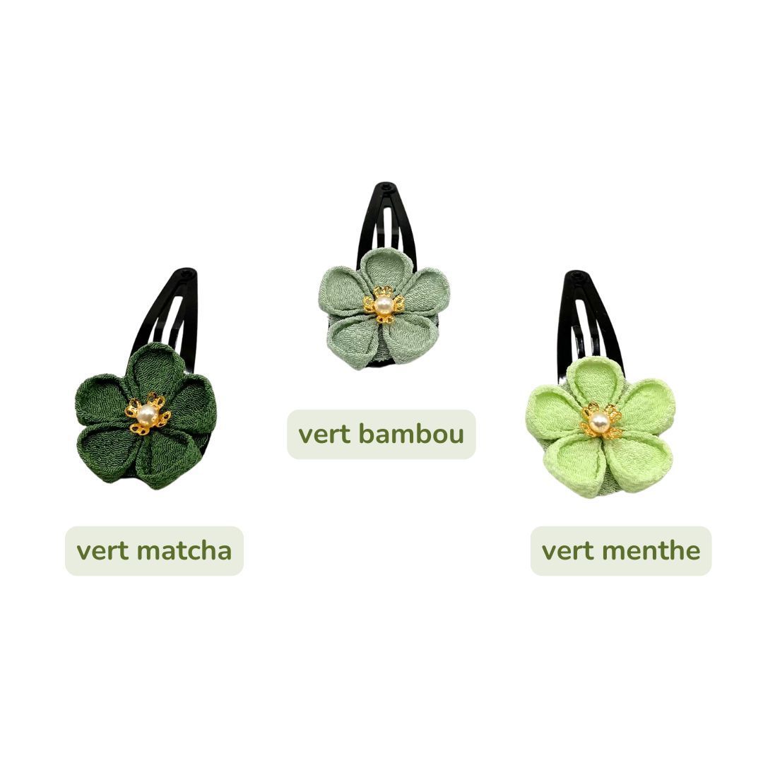 Barrette clip vert