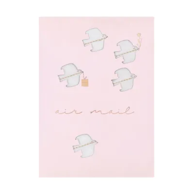 Carte - "Air Mail"