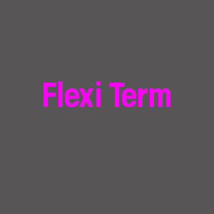 Flexi Term including joining fee