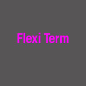 Flexi Term per week