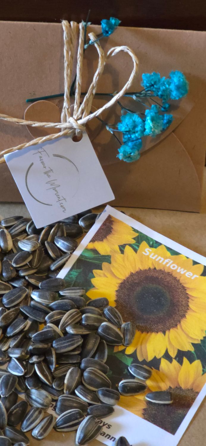 Sunflower Seeds