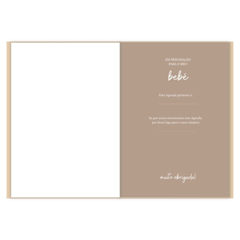 Agenda da Grávida Baby Womb, cover detail