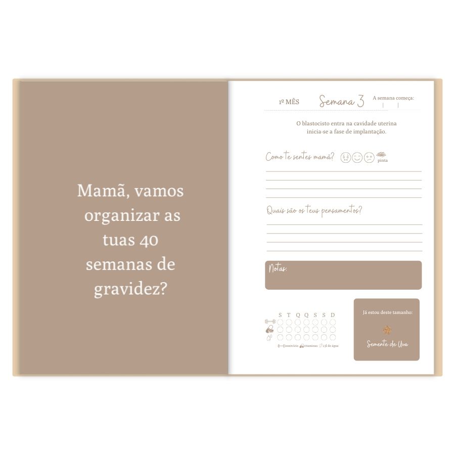 Agenda da Grávida Stars