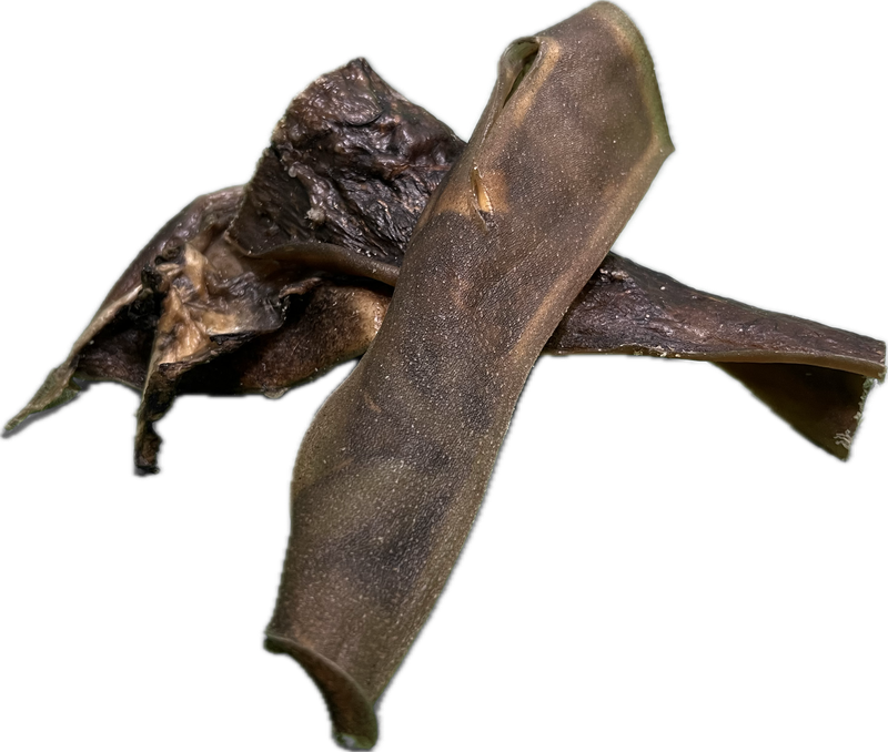 Kameel kophuid ≈15cm
